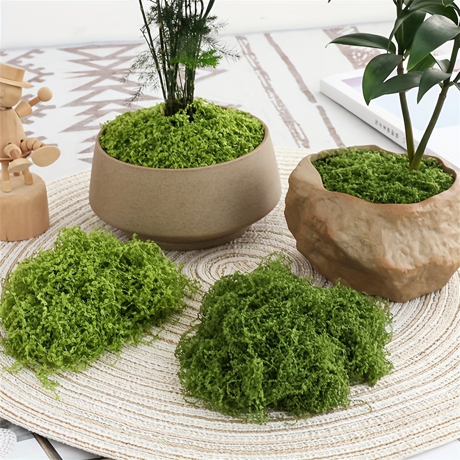 Terrarium Moss Art - 1 حزمة الطحلب الاصطناعي وهمية ،