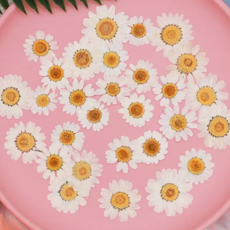 Resin Craft Ideas - 100 قطعة من زهور الأقحوان الكريستالية