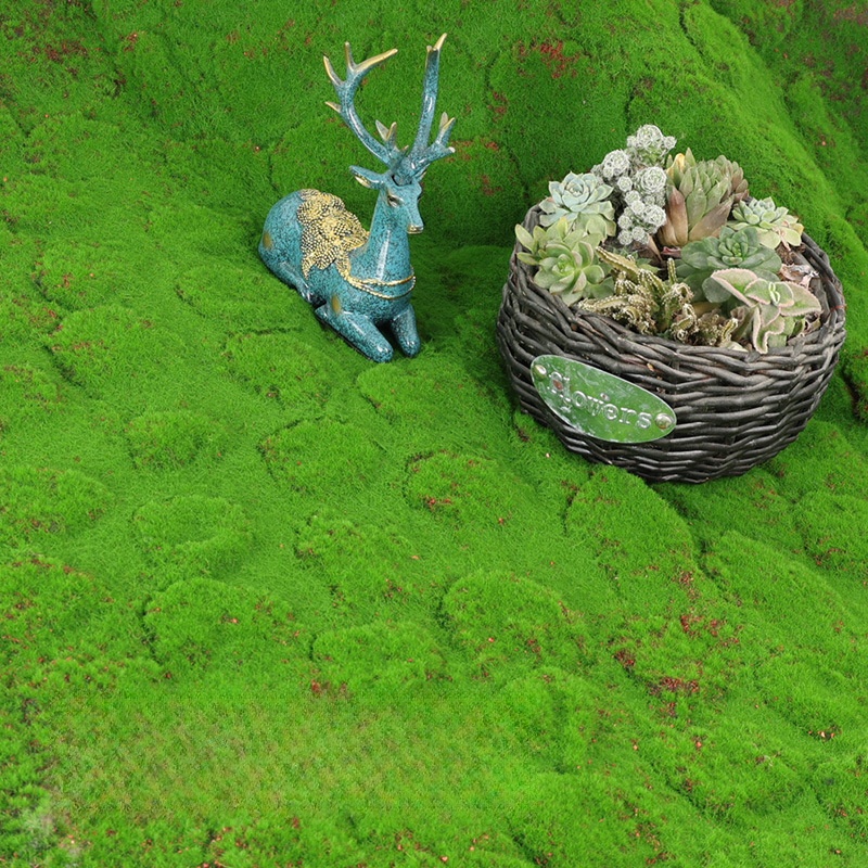 العشب الاصطناعي موس محاكاة الم - مراجعة Terrarium Moss Art وسعره