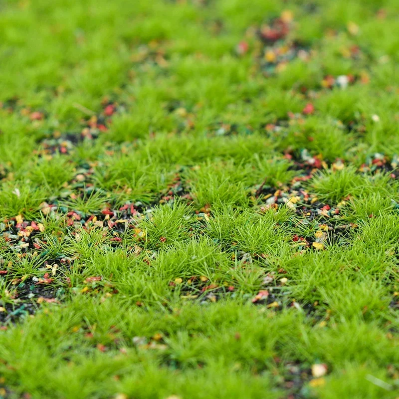 العشب الاصطناعي موس محاكاة الم - مراجعة Terrarium Moss Art وسعره