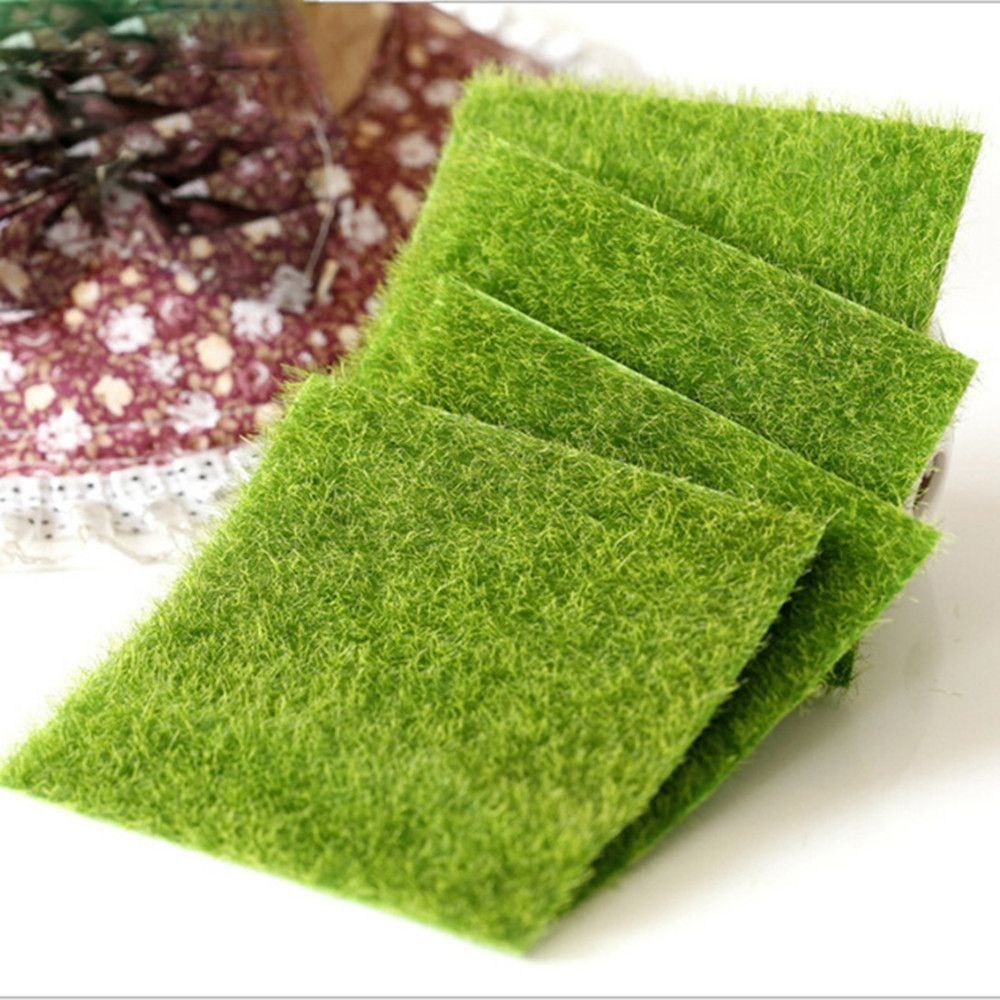 ديكور حديقة بيئي، زينة للحدائق - مراجعة Terrarium Moss Art وسعره