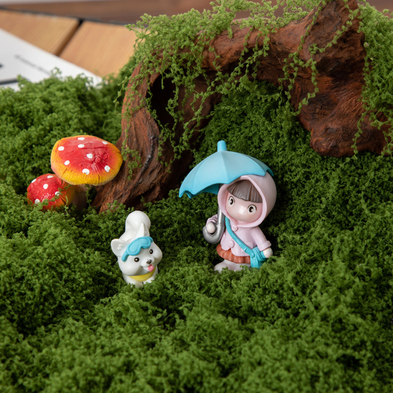 عشب الحياة الأبدية 200 جرام، ن - مراجعة Terrarium Moss Art وسعره