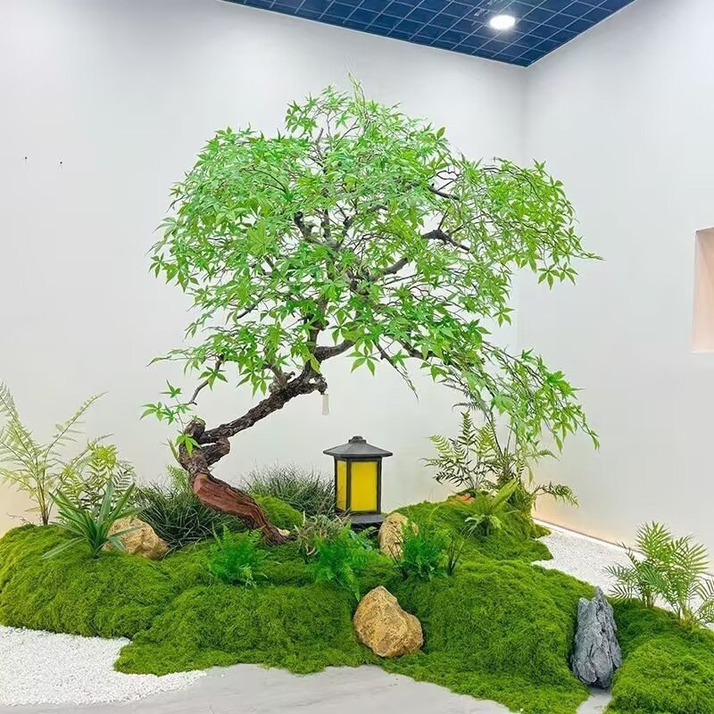 Aqumotic العشب الاصطناعي محاكا - مراجعة Terrarium Moss Art وسعره