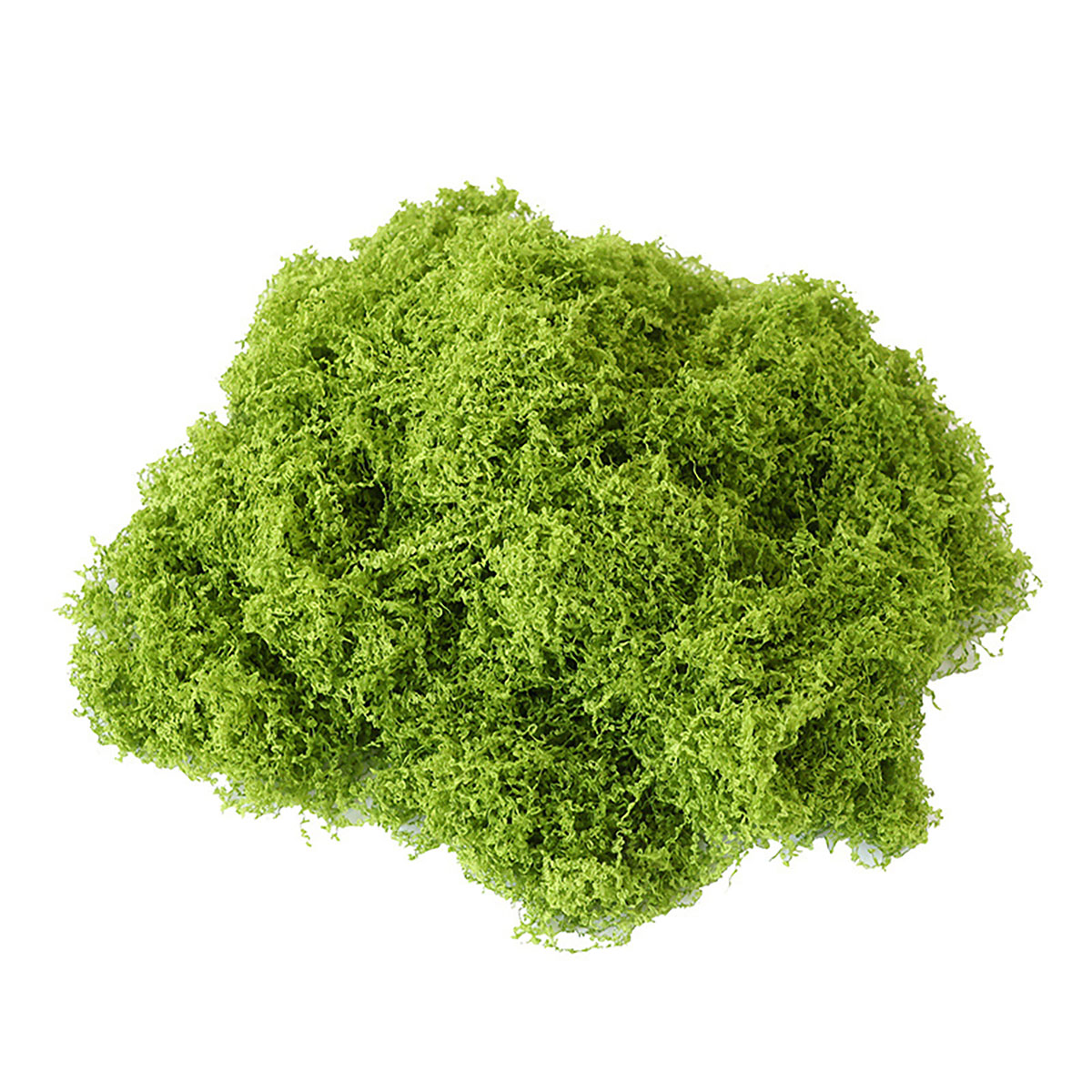 حوالي 20 جرام من النباتات الخض - مراجعة Terrarium Moss Art وسعره