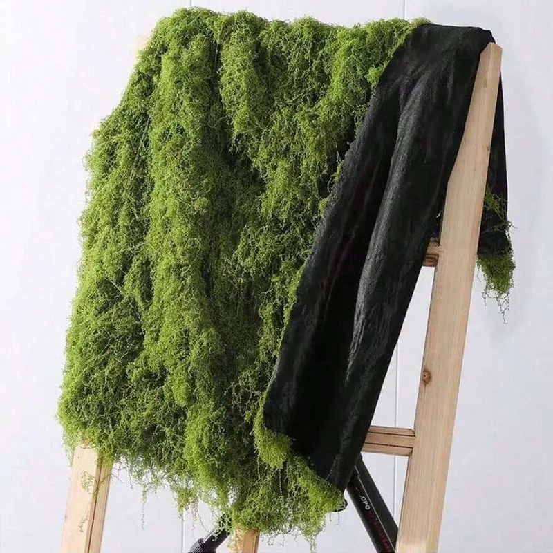 طحلب صناعي لتزيين المناظر الطب - مراجعة Terrarium Moss Art وسعره