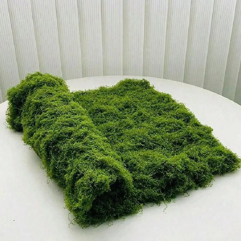 طحلب صناعي لتزيين المناظر الطب - مراجعة Terrarium Moss Art وسعره